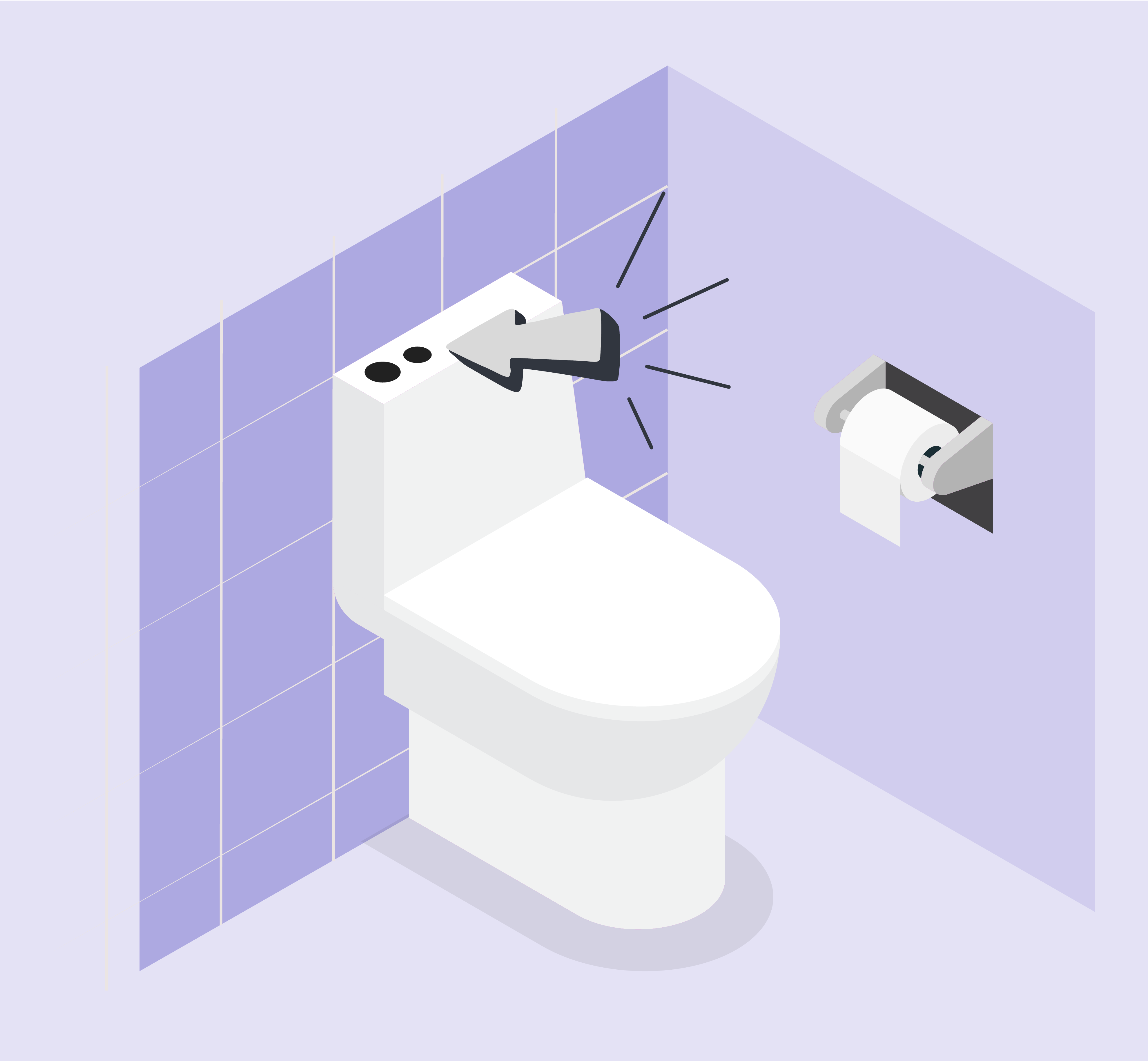 Visuel WEB cogestes page web toilettes