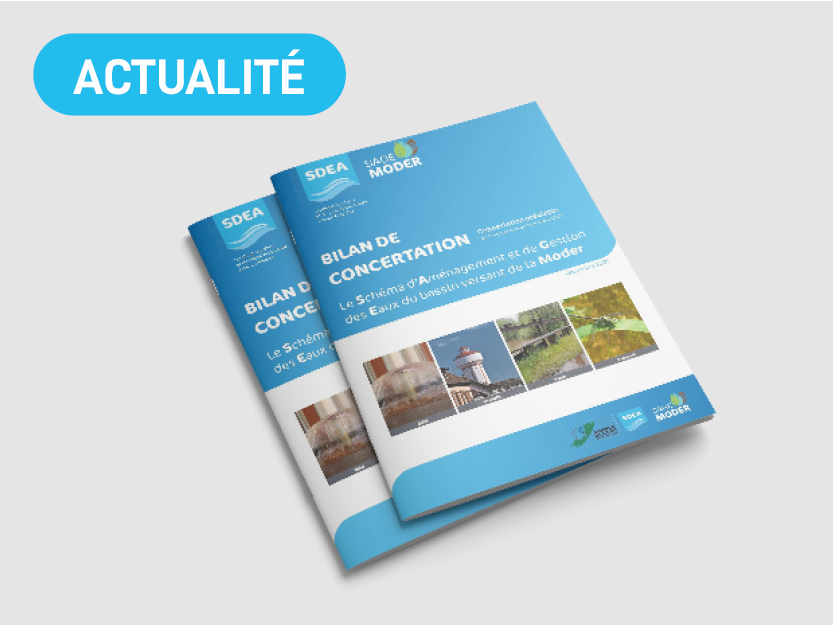 Visuel illustration actualité bilan