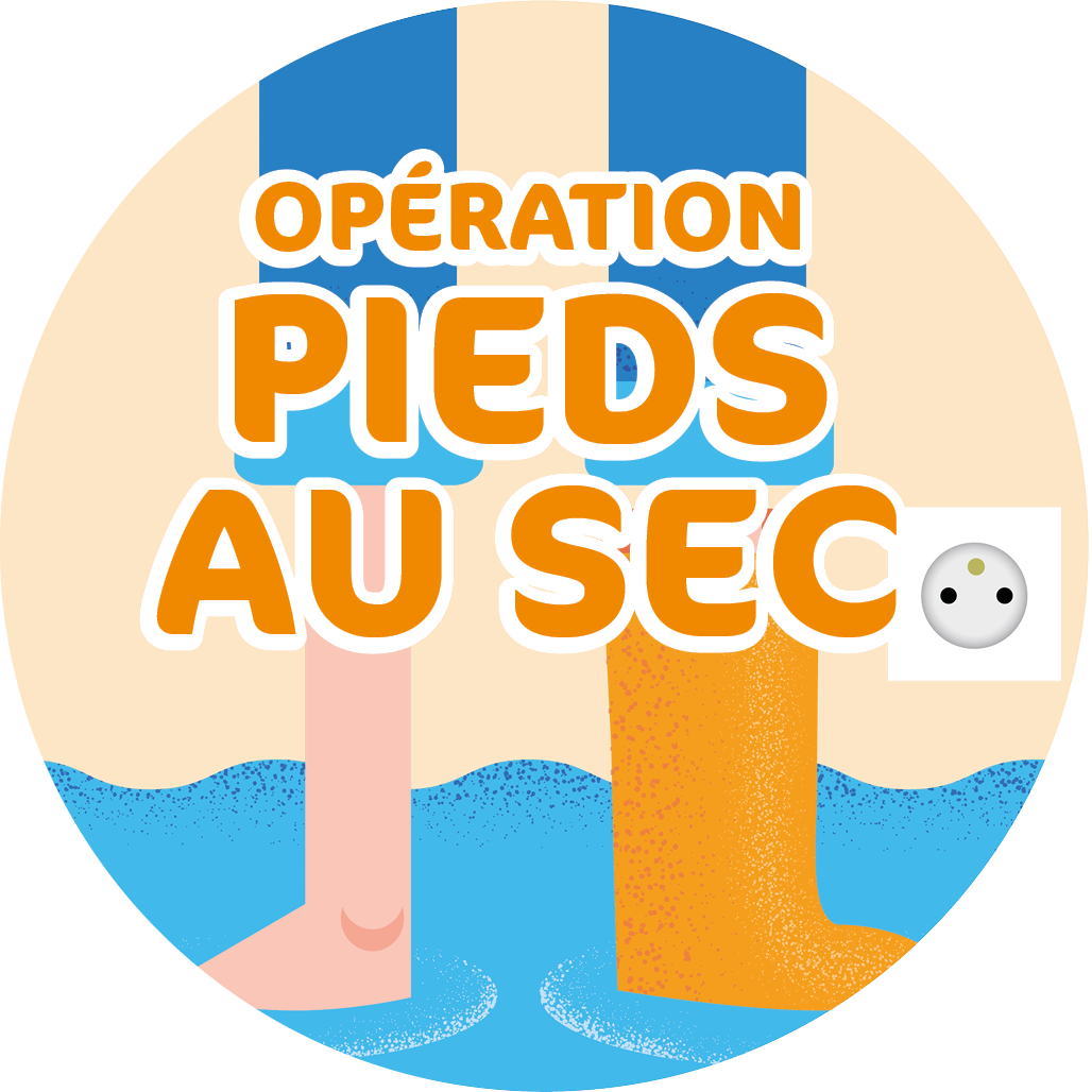 Logo OPS