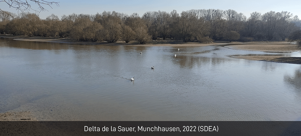 Photo Delta Sauer Munchhausen 2022