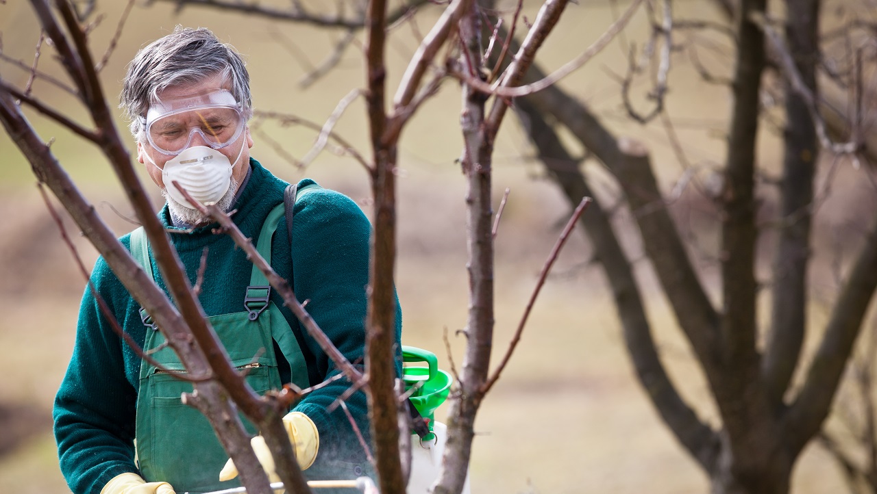 Les pesticides dans les cours d'eau et les nappes souterraines françaises