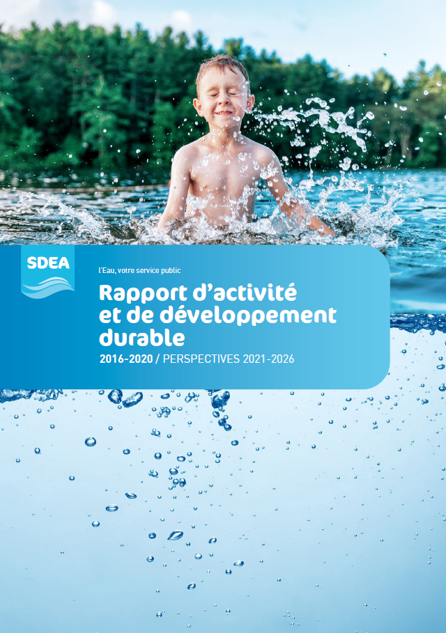 Rapport d'activité sdea